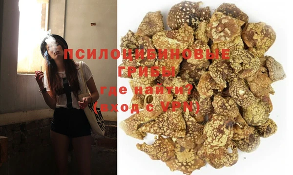 ECSTASY Баксан